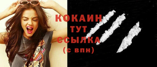 дживик Абаза