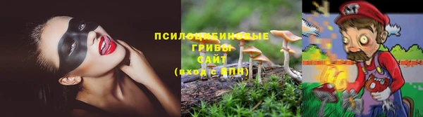 ПСИЛОЦИБИНОВЫЕ ГРИБЫ Абдулино