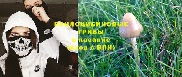 ПСИЛОЦИБИНОВЫЕ ГРИБЫ Абдулино