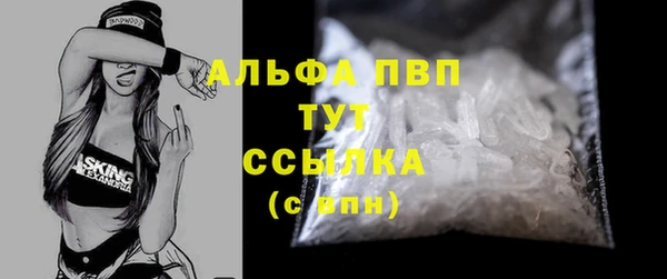 дживик Абаза