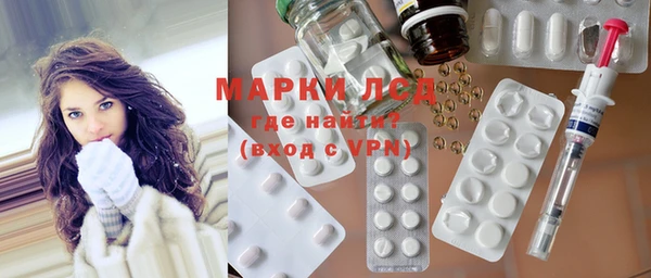 хмурый Алексин