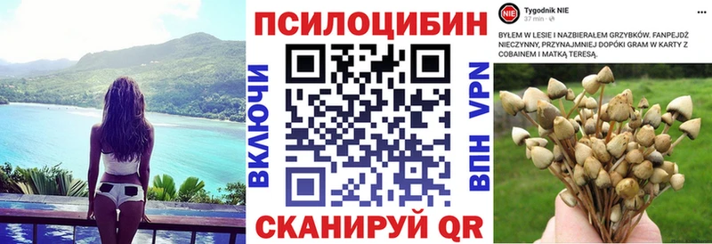 Псилоцибиновые грибы GOLDEN TEACHER  hydra tor  Узловая 